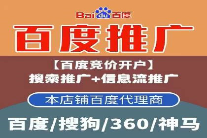 实战解析：SEM代运营成功案例分享
